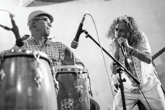 07-Javier-Cabrera-y-Ciprianodonte-Festival-Raices-2015-Veracruz