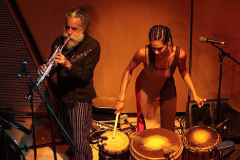 20-Ciprianodonte-y-Hai-Von-Son-Sala-Manuel-M-Ponce-Cuernavaca-Morelos-2013